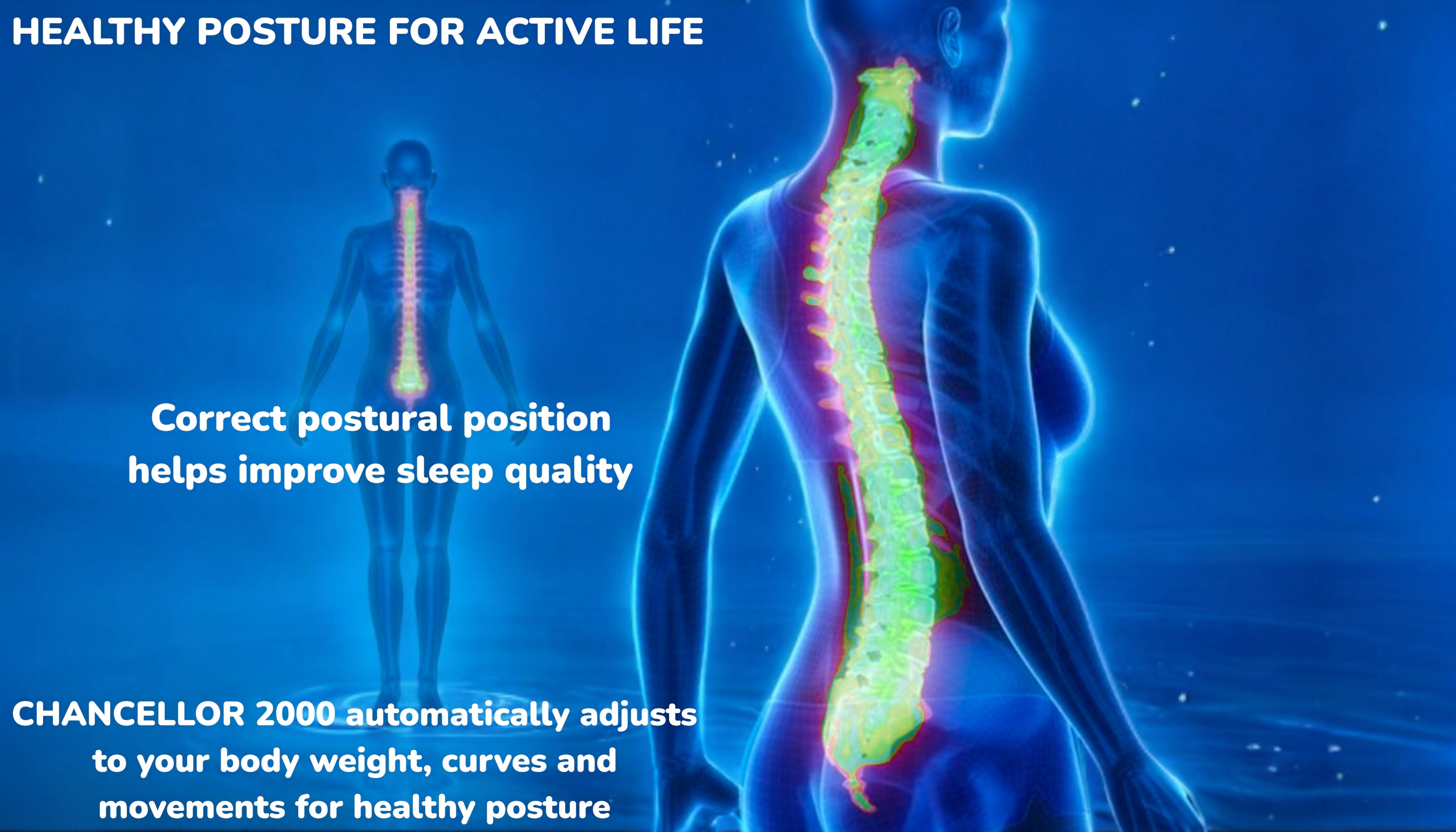A human diagram showcasing healthy posture, spinal alignment and body support due to CHANCELLOR 2000 mattress
