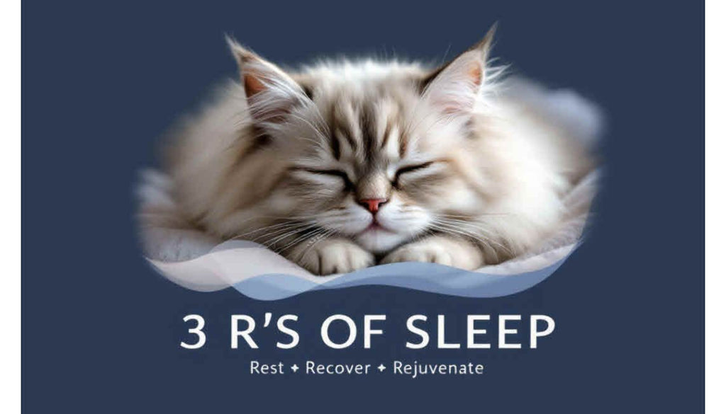 How to choose the best mattress for rejuvenating sleep UK?