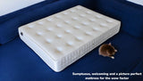 BLISS mattress luxury comfort demonstration showing premium natural materials and craftsmanship