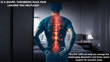 FELLOW 1500 3D cutaway view showing a man with their spine for improved pain relief