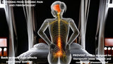 Human body diagram shows back and joints for pain fibromyalgia relief on PROVOST 2000 pillow top mattress construction