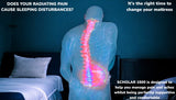 Medical illustration showing pressure point relief benefits of Scholar 1500 mattress for back pain and body support